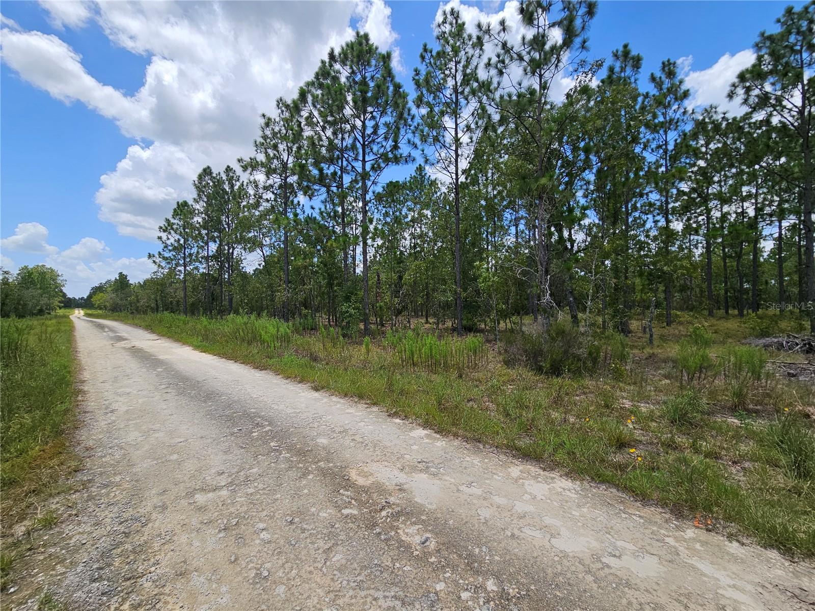 WILLISTON HIGHLANDS GOLF & COUNTRY CLUB ESTATES BUILDING LOT! About 1/4 ACRE WITH PRIVACY! This lot is located just a block from the paved road with easy access on a dirt road. Lot measures about 80' on the road and 126' deep. High & dry, No HOA and no time limits to build. Zoned for you new manufactured or site-built home. Come see what Levy county has to offer. Plenty of outdoor activities, Swimming in springs with plenty to choose from, Salt and fresh water fishing is just 30 minutes from here, Horse back riding on one of the many trails just to name a few of the many outdoor activities.
