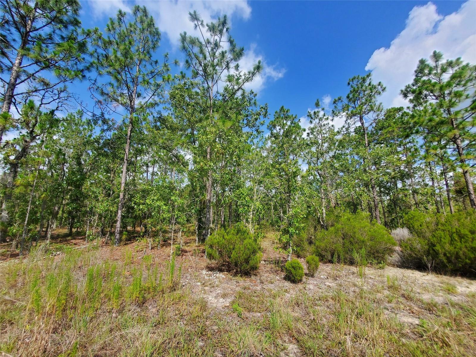 WILLISTON HIGHLANDS GOLF & C CLUB ESTATES - Land