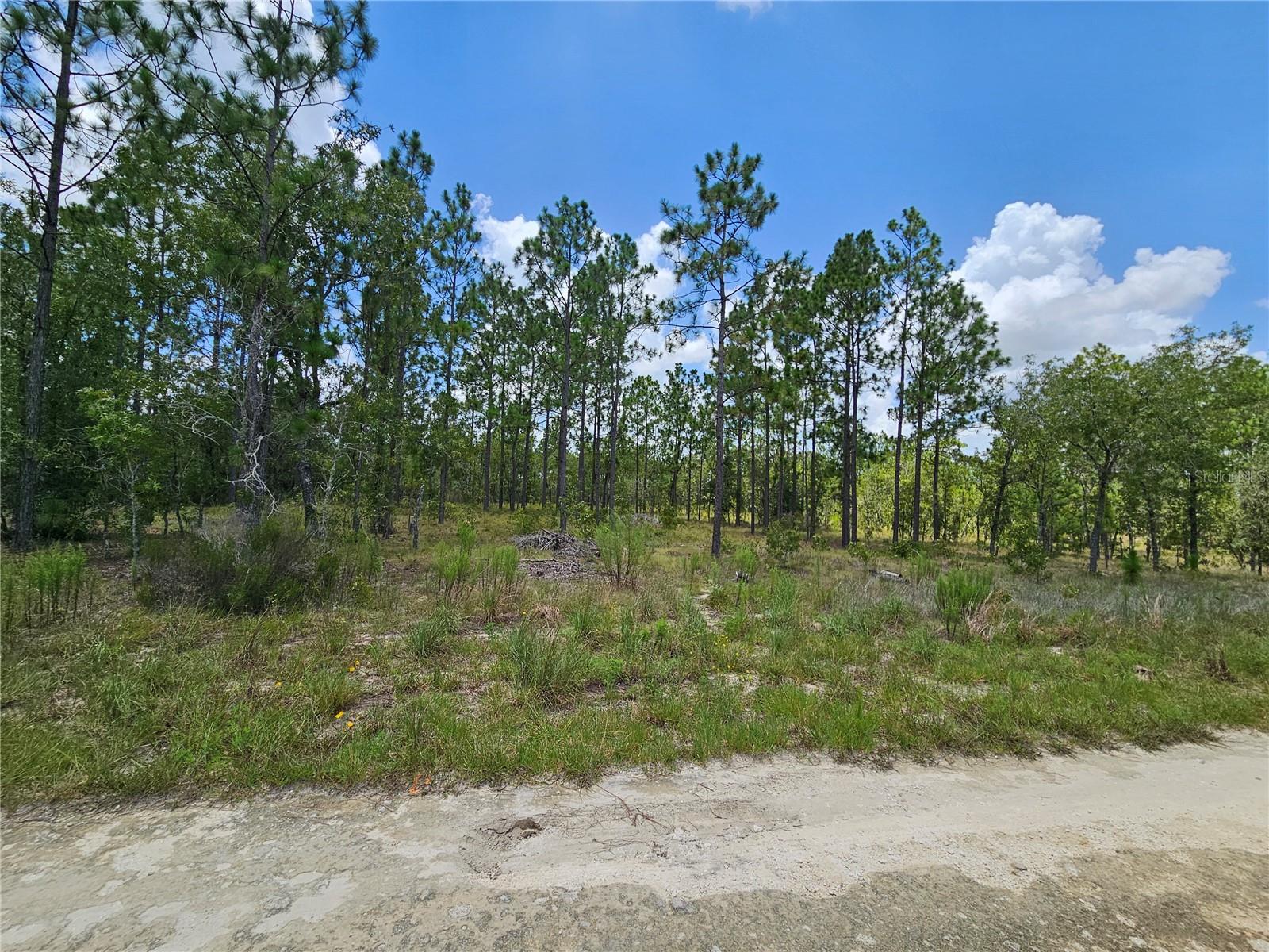 WILLISTON HIGHLANDS GOLF & C CLUB ESTATES - Land