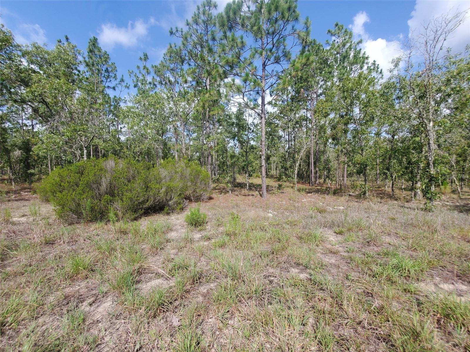 WILLISTON HIGHLANDS GOLF & C CLUB ESTATES - Land