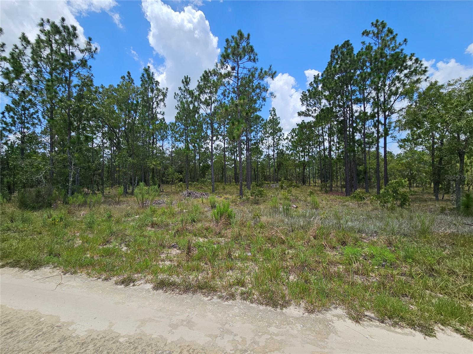 WILLISTON HIGHLANDS GOLF & C CLUB ESTATES - Land