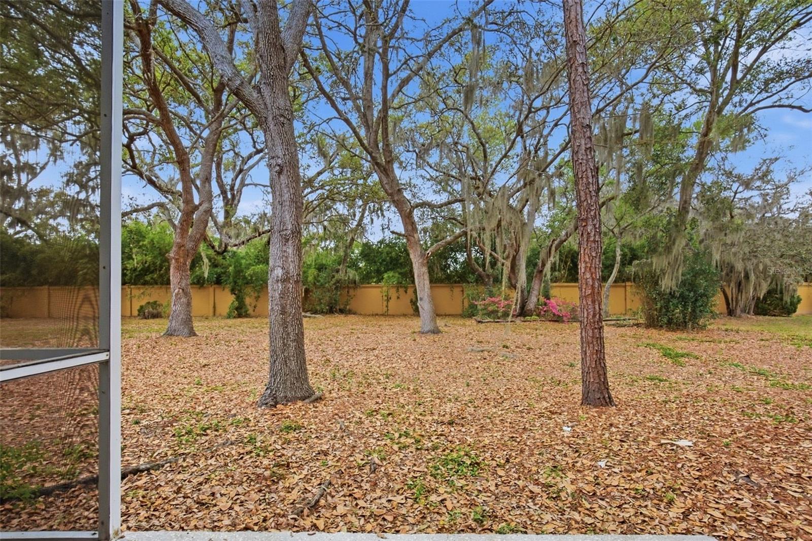 RIVER WALK - Residential