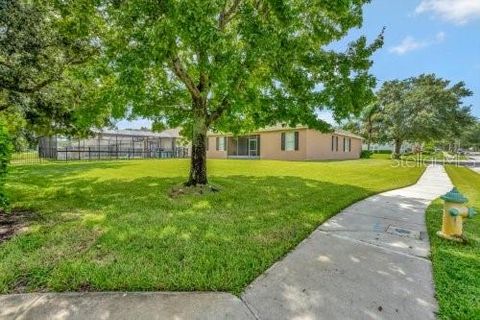 A home in MOUNT DORA