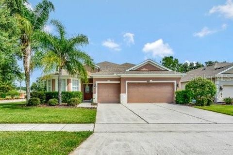 A home in MOUNT DORA