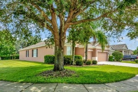 A home in MOUNT DORA