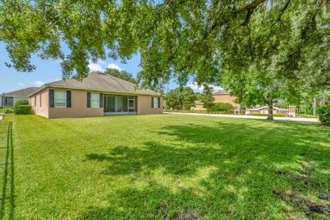 A home in MOUNT DORA