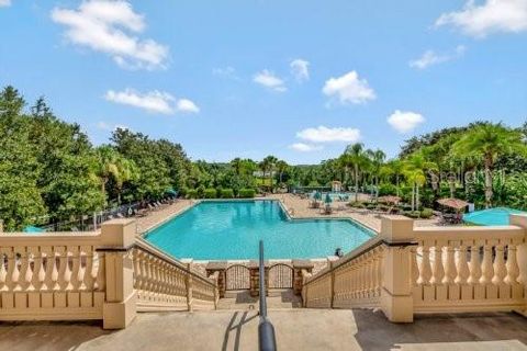 A home in MOUNT DORA