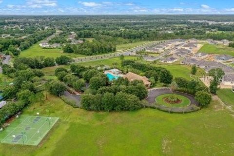 A home in MOUNT DORA