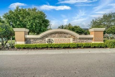 A home in MOUNT DORA