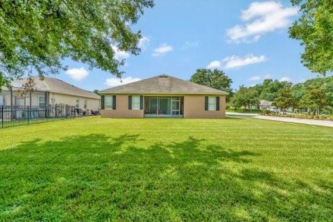 A home in MOUNT DORA