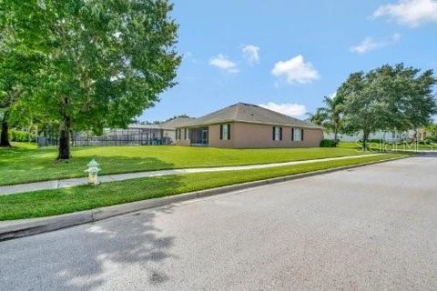 A home in MOUNT DORA