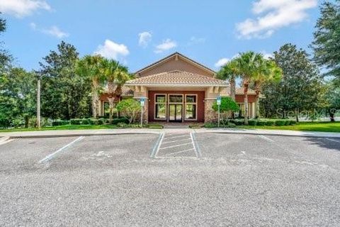 A home in MOUNT DORA