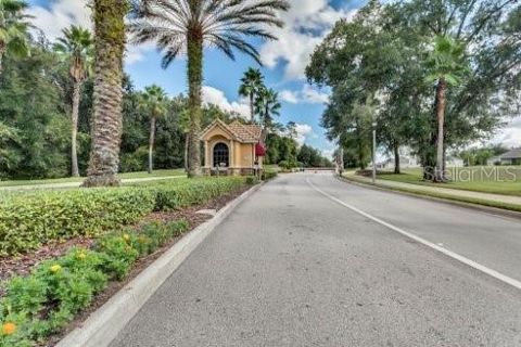 A home in MOUNT DORA