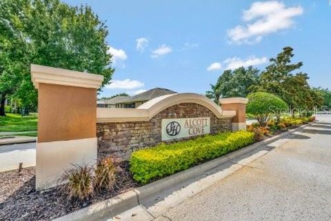 A home in MOUNT DORA