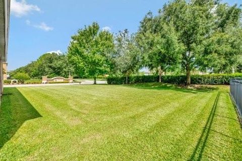 A home in MOUNT DORA