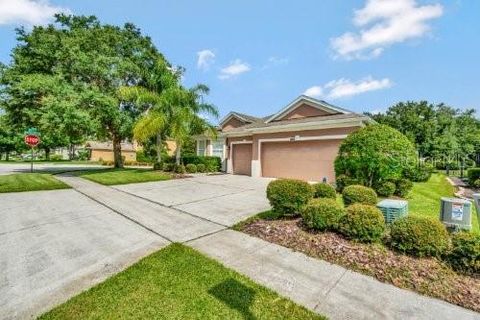 A home in MOUNT DORA