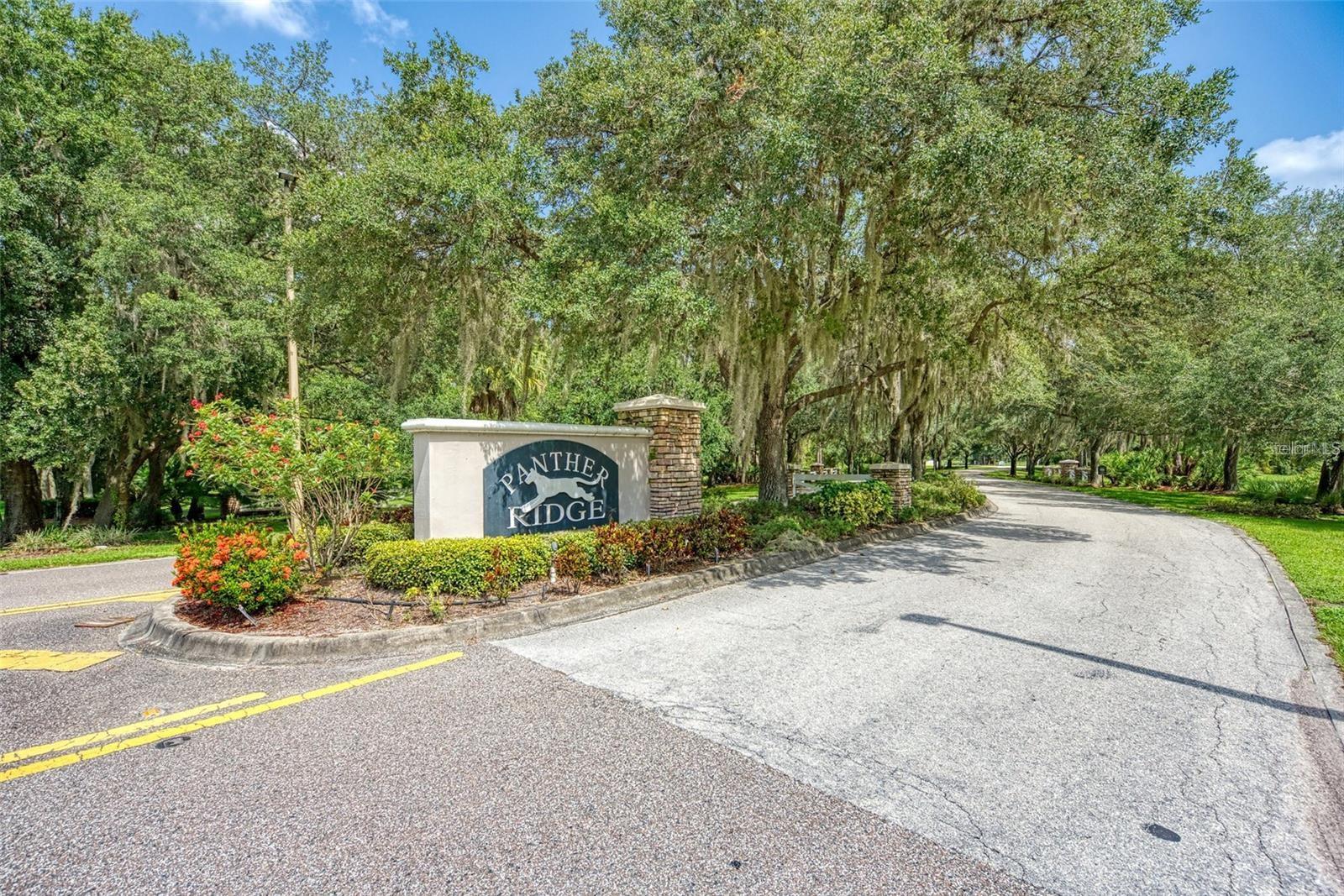 PANTHER RIDGE - Residential