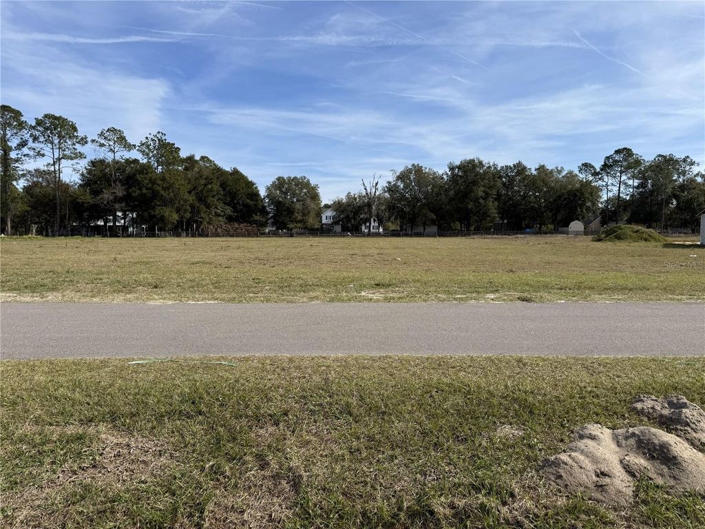 Photo of 14842 Mim Place, Dade City, FL 33525 (MLS # TB8465026)