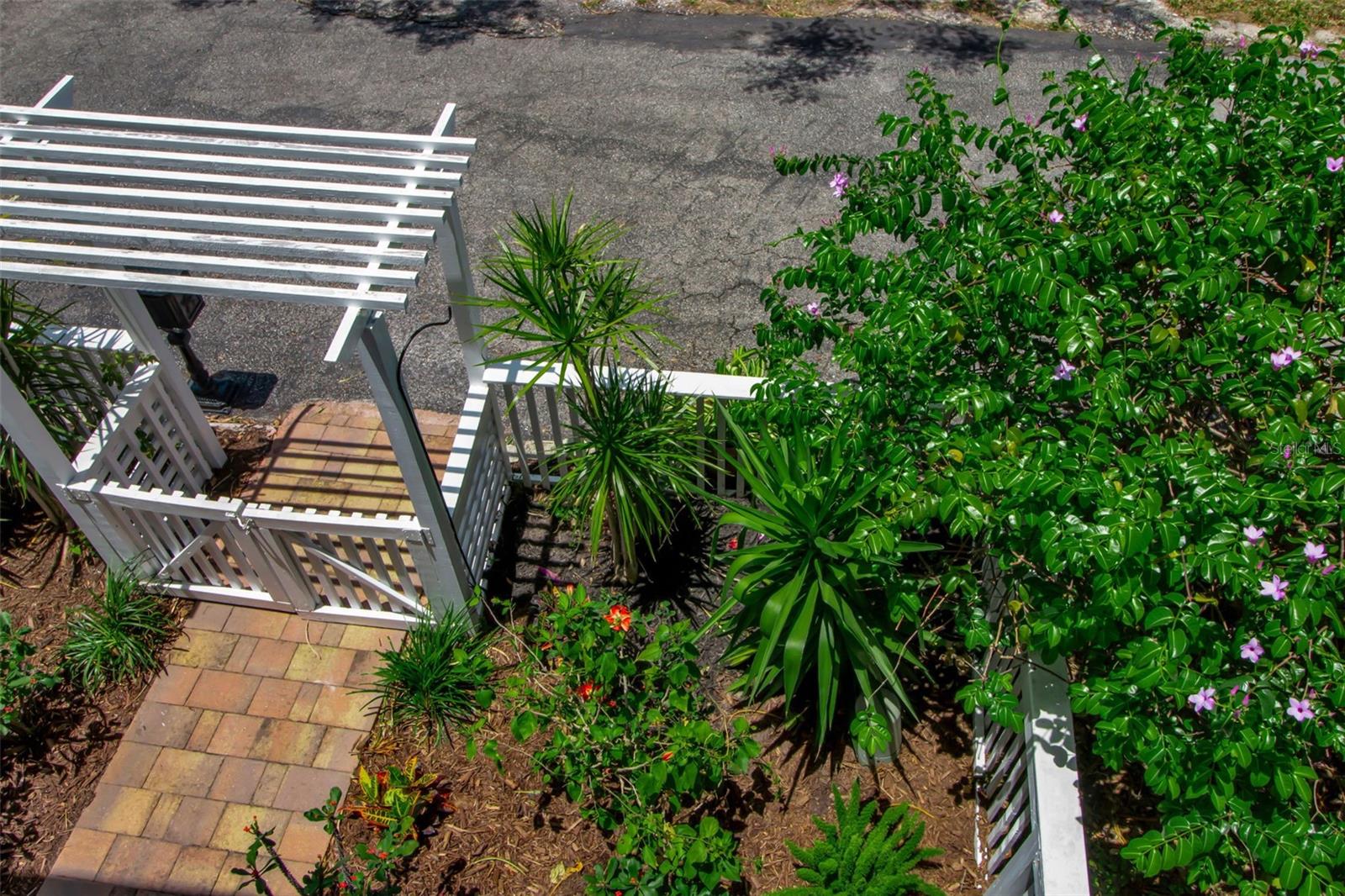 ROSEMARY DISTRICT - Residential