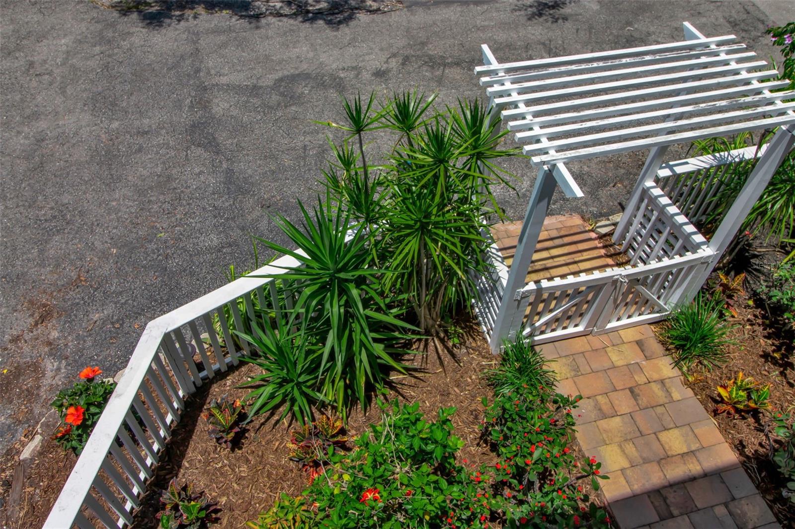 ROSEMARY DISTRICT - Residential