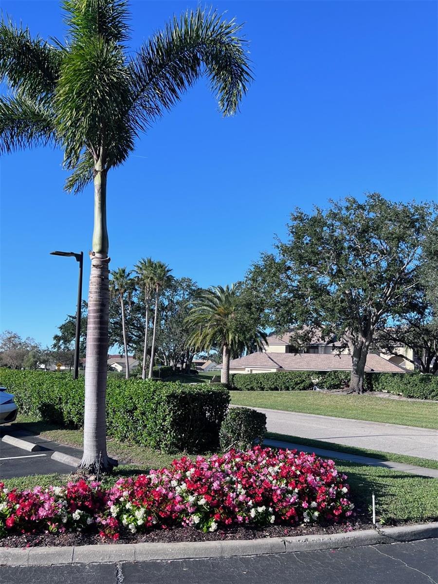 TARA VERANDAS - Residential