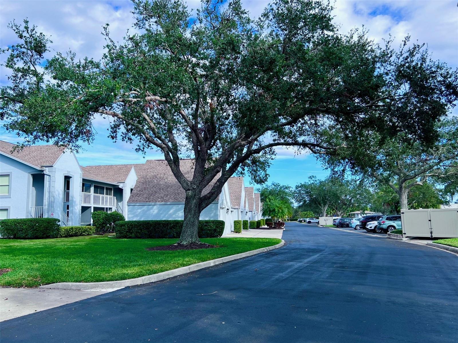 TARA VERANDAS - Residential