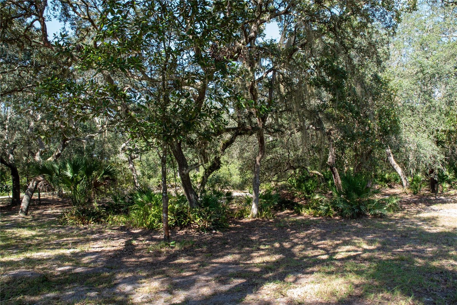 DEERHAVEN SUB - Residential