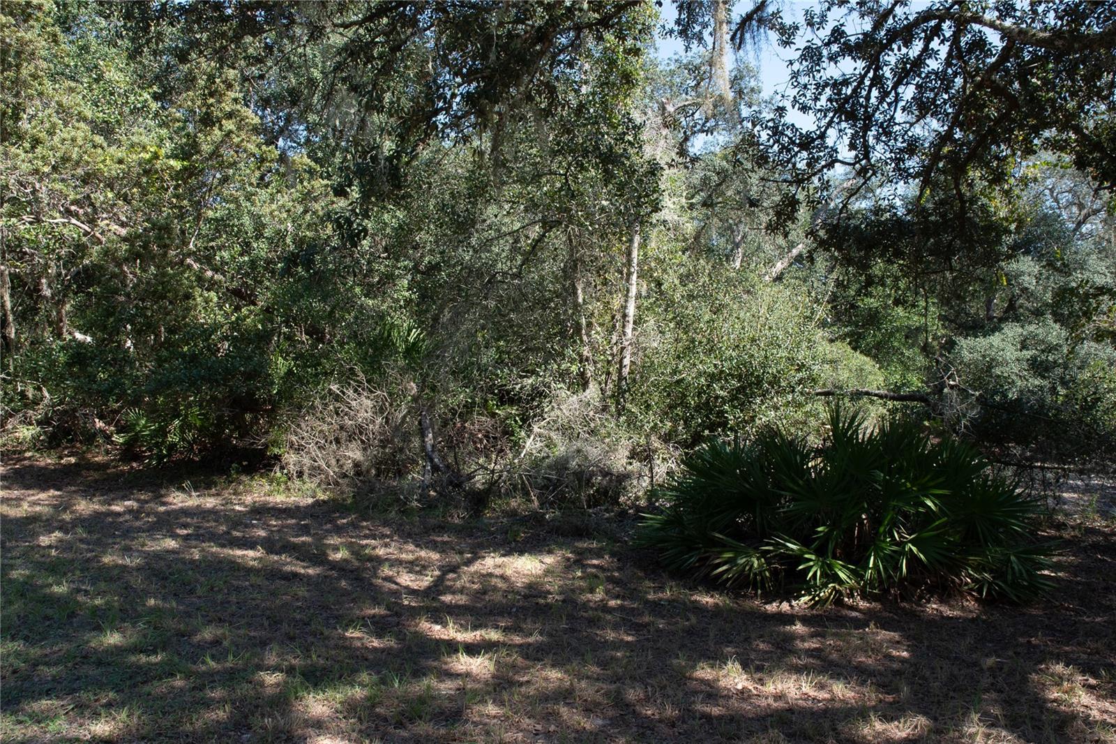 DEERHAVEN SUB - Residential