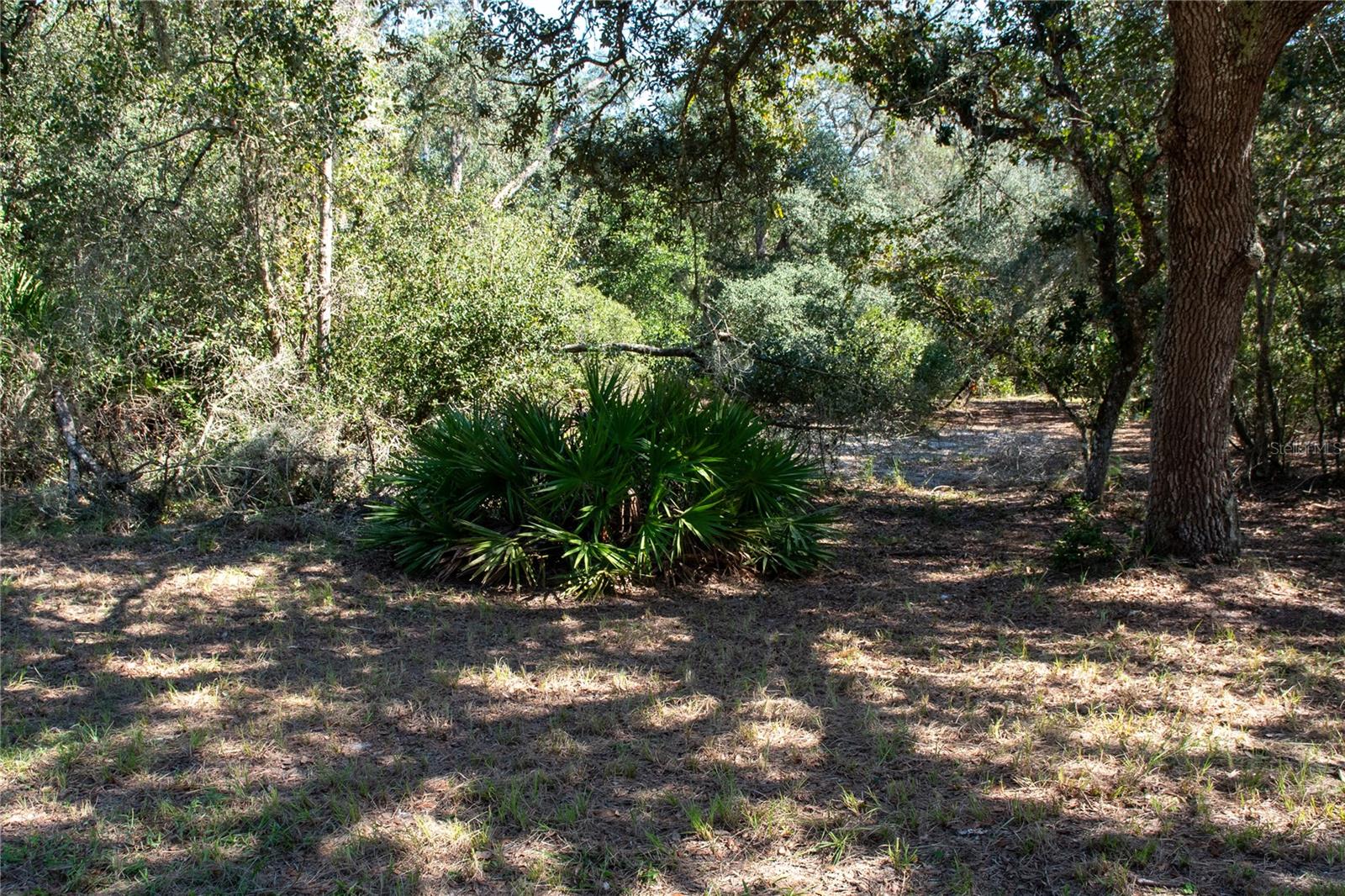 DEERHAVEN SUB - Residential