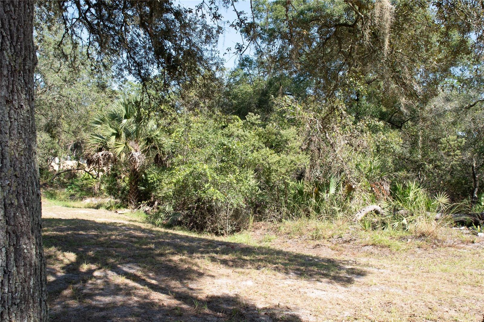 DEERHAVEN SUB - Residential