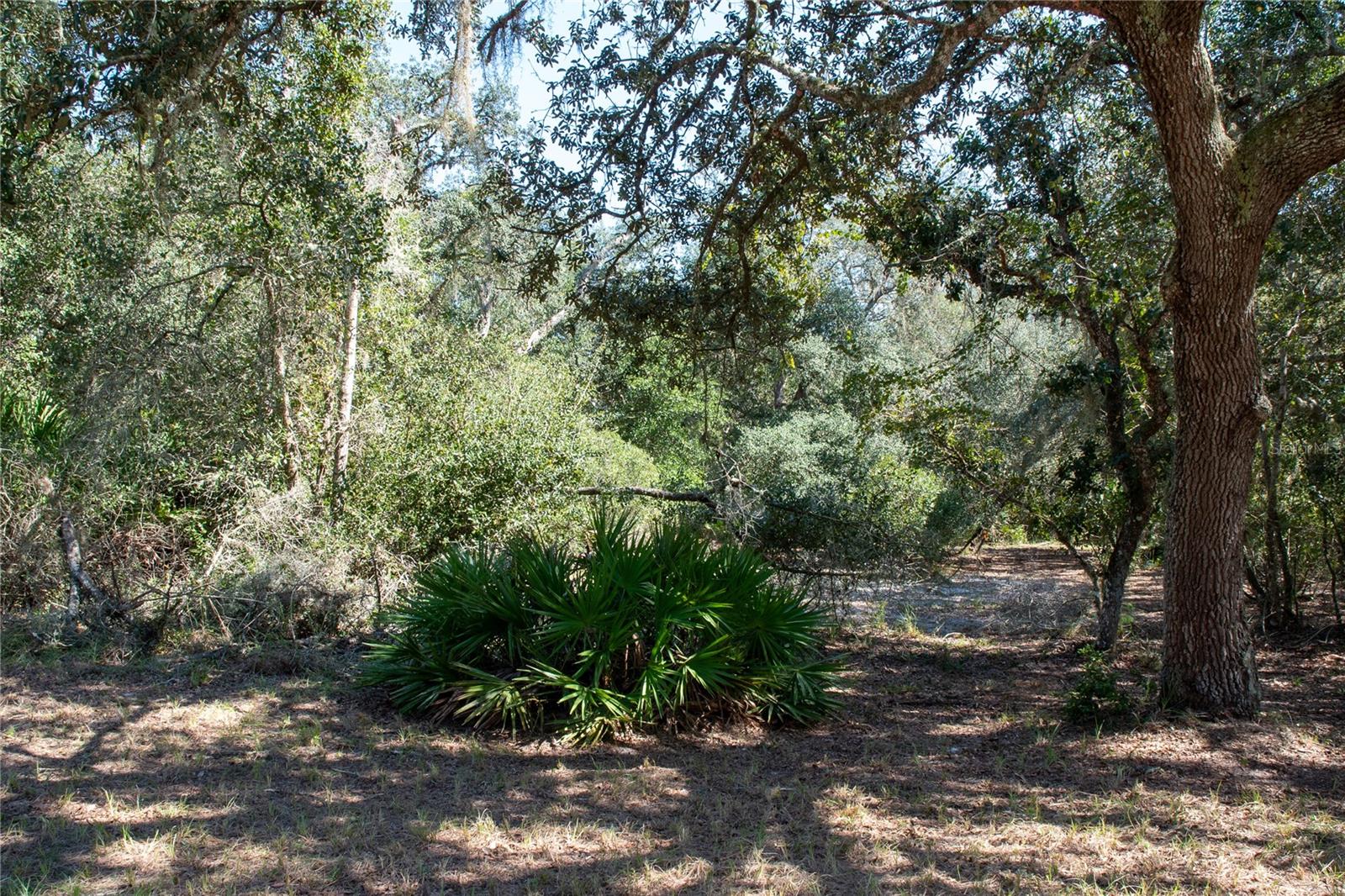 DEERHAVEN SUB - Residential