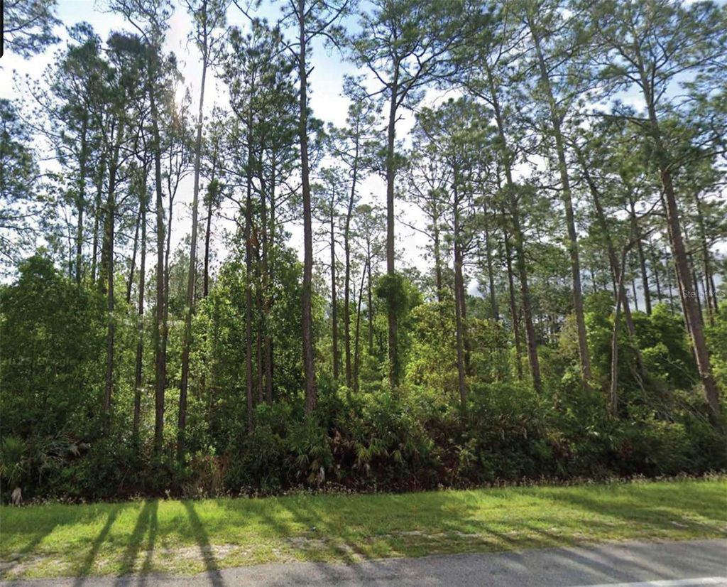 Photo of 1501 S State Road 19, Palatka, FL 32177 (MLS # O6408324)