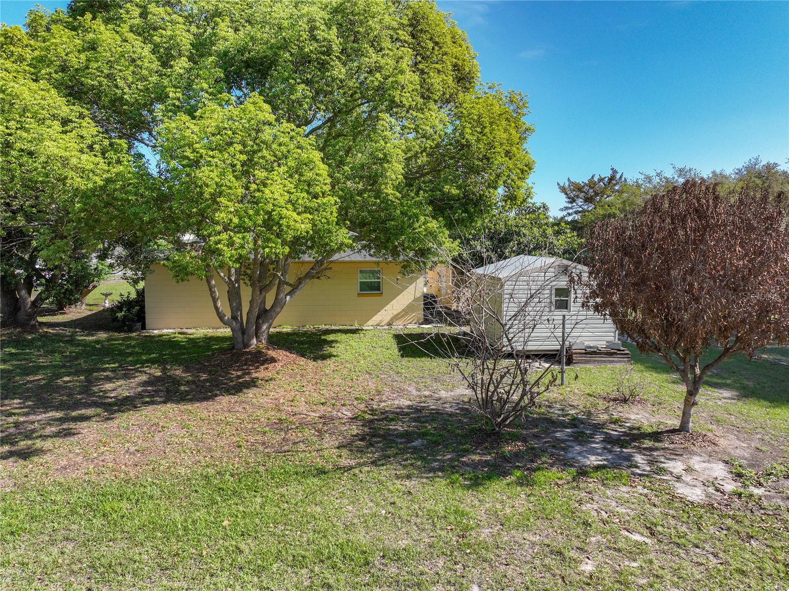 MASCOTTE COMUNICASA - Residential