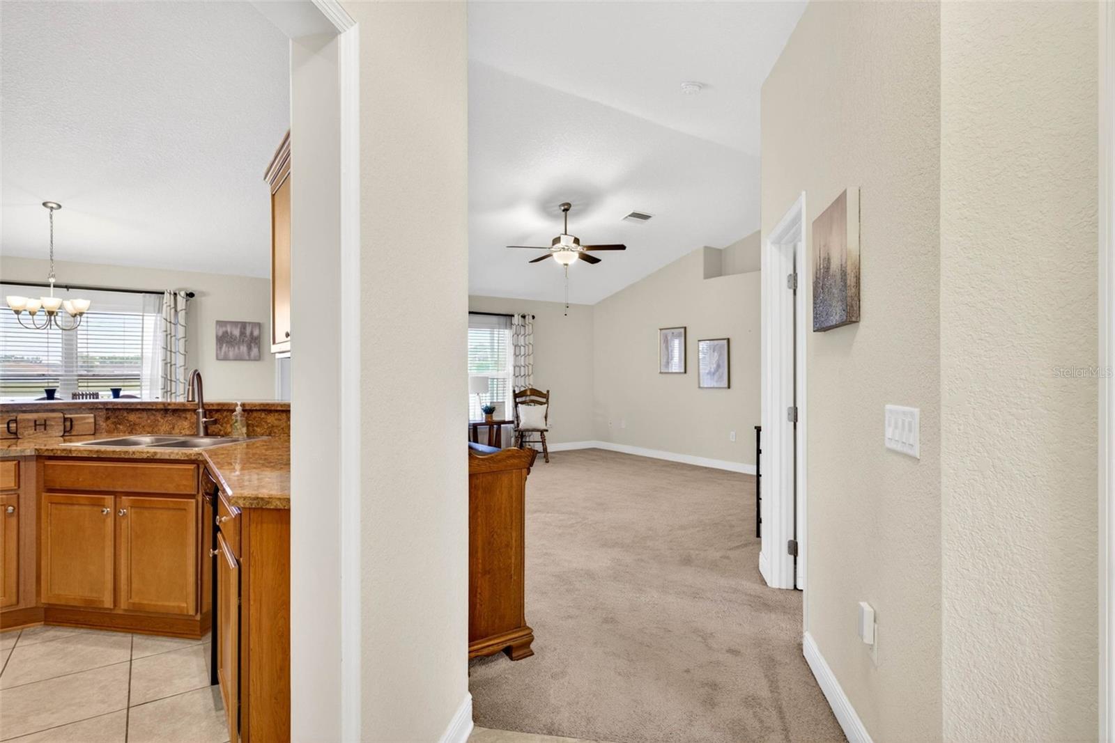31076 WATER LILY DRIVE