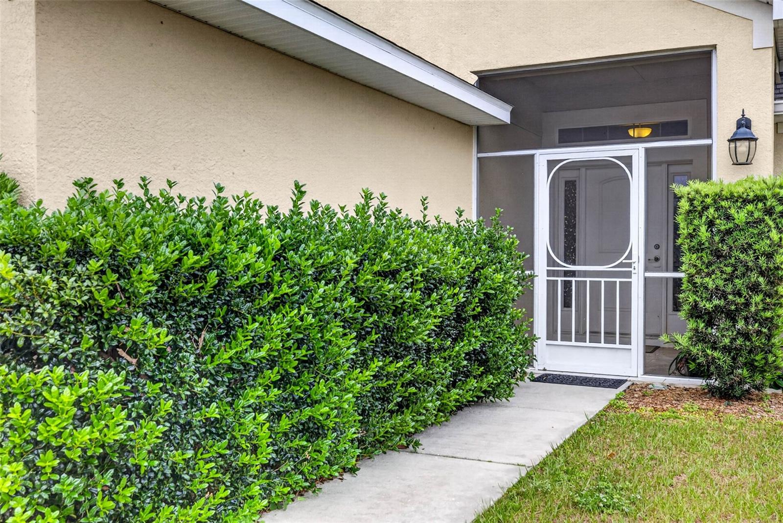 31076 WATER LILY DRIVE