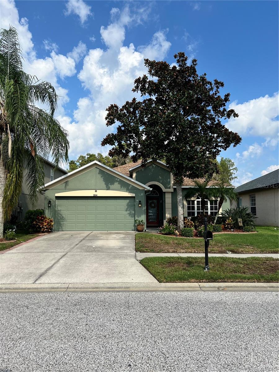 THIS BEAUTIFUL 4/2/2 HOME IS LOCATED IN BALLANTRAE AND provide THE PERFECT BLEND OF COMFORT AND CONVENIENCE. THE SPACIOUS LAYOUT INCLUDES AND OVERSIZED LANAI THAT HAS A RELAXING CONSERVATION AND POND VIEW. ANOTHER EXTRA FEATURE OF THE LANAI IS 220 ELECTRICAL READY FOR A HOT TUB IF YOU DESIRE OR MAYBE EVEN AN OUTDOOR KITCHEN. THE VINYL FENCE AROUND THE BACKYARD ALLOWS FOR PRIVACY AND HAS AN ACCESS GATE ON BOTH SIDES OF THE HOUSE. ADDITIONAL FEATURES INCLUDE GUTTERING, SPRINKLERS, A NEW ROOF AND EASY ACCESS TO THE ATTIC FROM THE PULL DOWN STAIRS IN THE GARAGE. MOVE IN READY. OWNWER RECENTLY HAD PALM TREE TRIMMED. BUY NOW AND BE READY FOR THE HOLIDAYS!