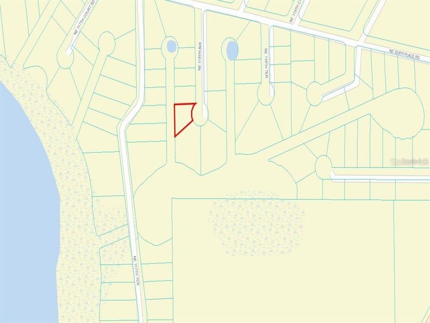 .31 acre lot located in Lake View Manor on cul-de-sac ready for your mobile home or tiny house. Close proximity to boat ramp for a trip on the Ocklawaha River and Rodman Reservoir. Several miles from the Ocala National Forest for great activities like fishing, hunting, ATV rides, or just enjoying the wildlife.