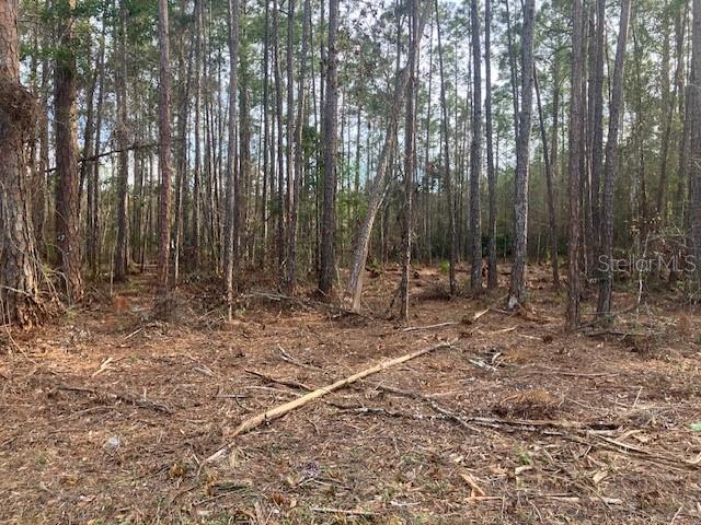 DAYTONA NORTH - Land