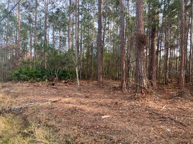 DAYTONA NORTH - Land