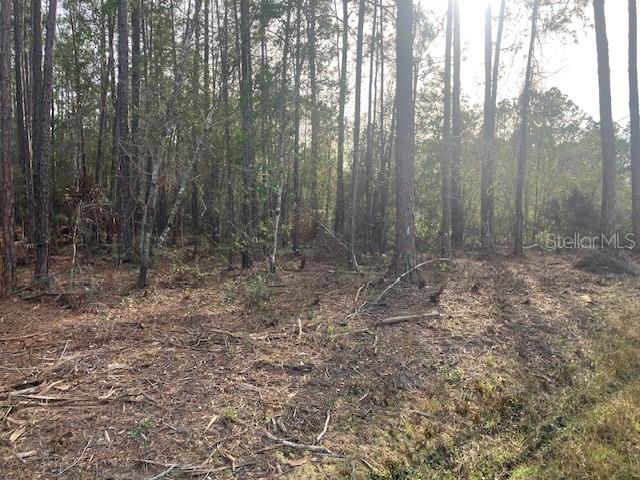 DAYTONA NORTH - Land