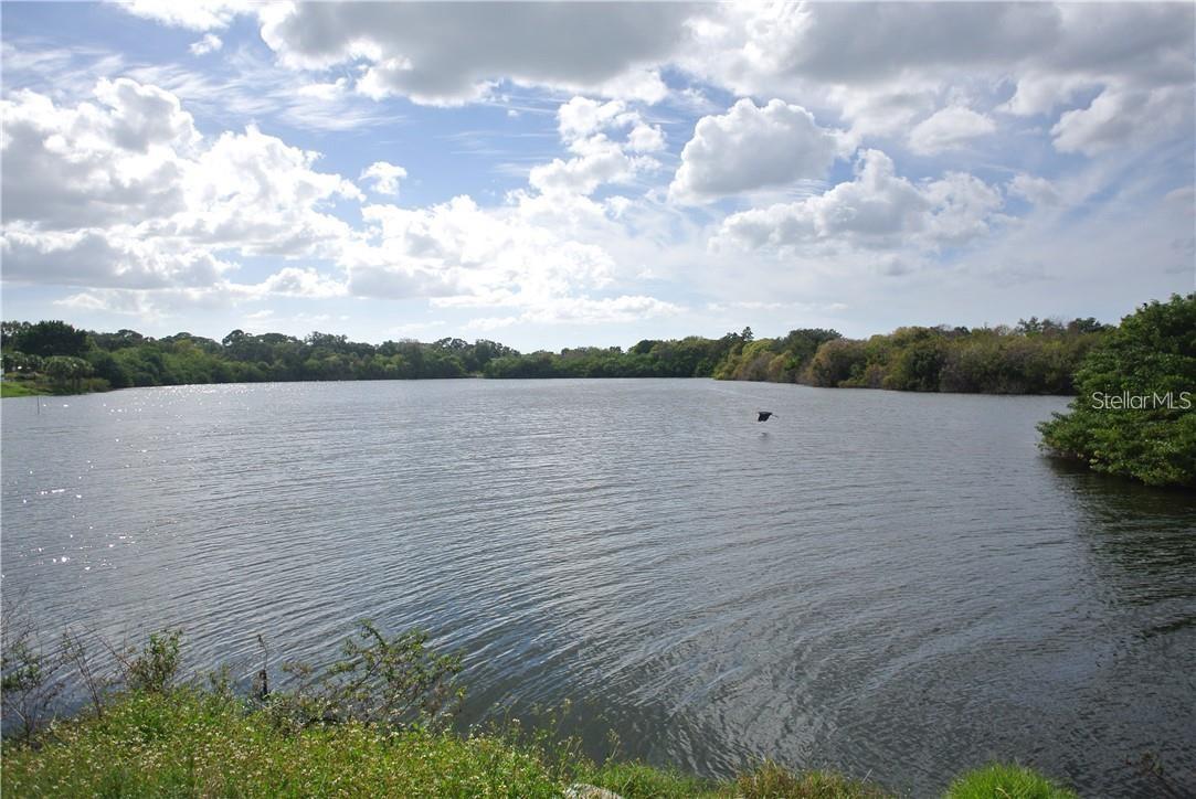 SARASOTA LAKES CO-OP, INC. - Residential