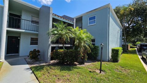 A home in TAMPA