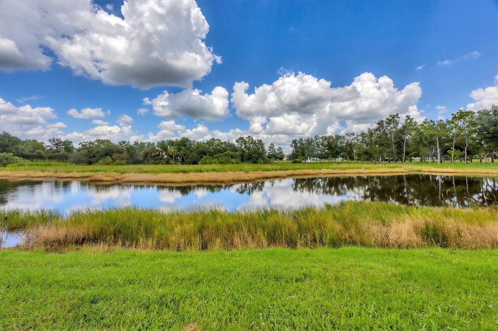 LAKE VIEW CONDO/HERITAGE LAKE PARK - Residential