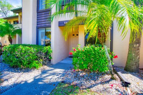 A home in SARASOTA