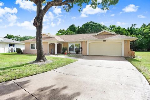 Photo of 12600 Castleberry Court, Bayonet Point, FL 34667 (MLS # TB8431878)