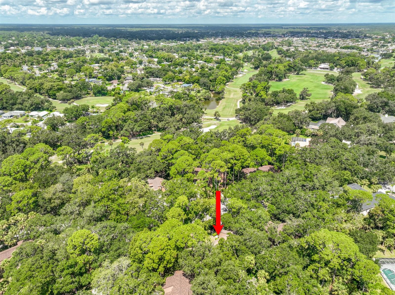 PALM COAST FAIRWAYS CONDO - Residential