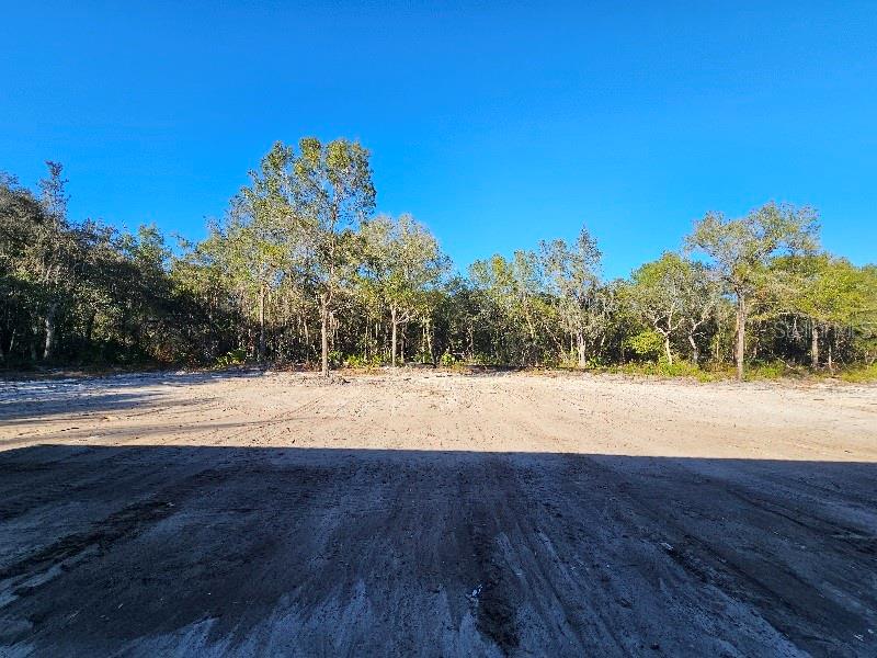 1619 MAGNOLIA AVENUE