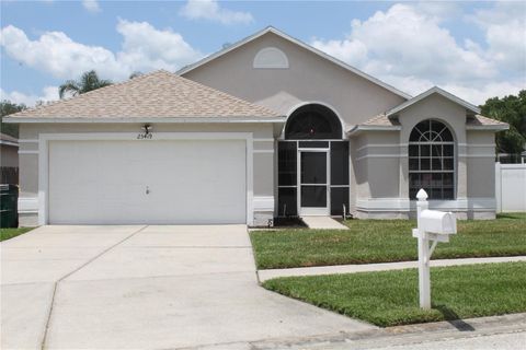 A home in LAND O LAKES