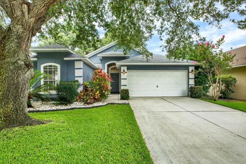Photo of 805 Straw Lake Drive, Brandon, FL 33510 (MLS # TB8514244)