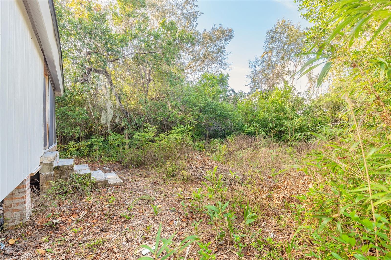 LINCOLN PARK IN GRANT LT 08 01/2 ORMOND - Residential